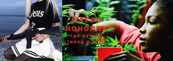 мдпв Вяземский