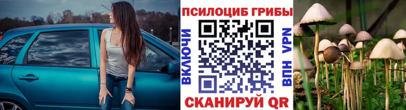 Галлюциногенные грибы MAGIC MUSHROOMS  Видное 