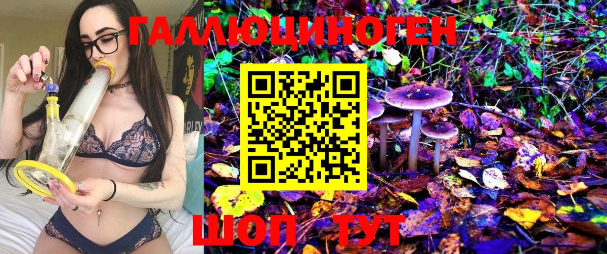 Видное  Галлюциногенные грибы MAGIC MUSHROOMS  Вход с VPN 
