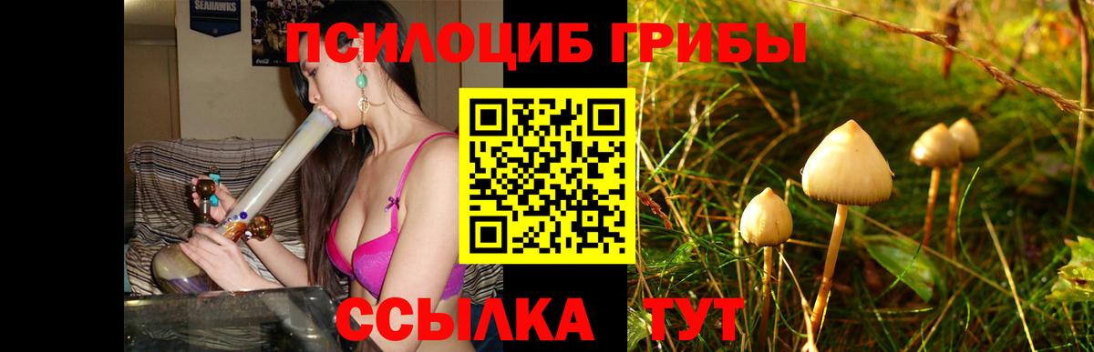 Псилоцибиновые грибы GOLDEN TEACHER Видное