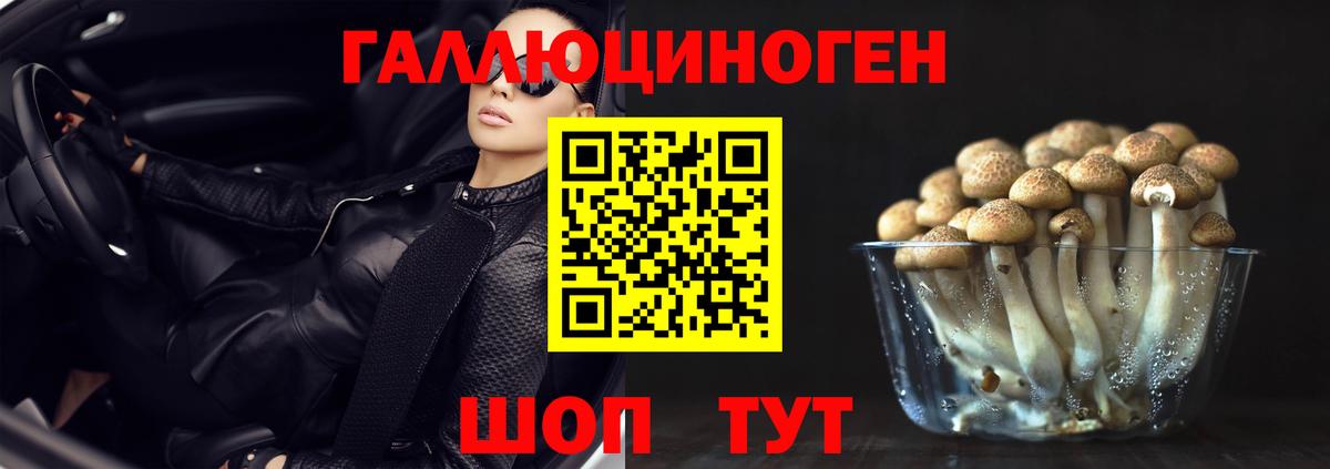 Галлюциногенные грибы GOLDEN TEACHER  Видное 